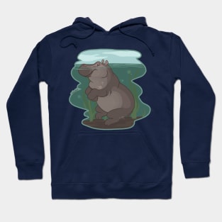 Hippo Float Hoodie